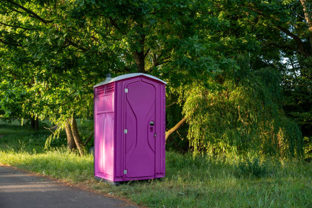 Portable Toilet Options We Offer in Rodney Village, DE